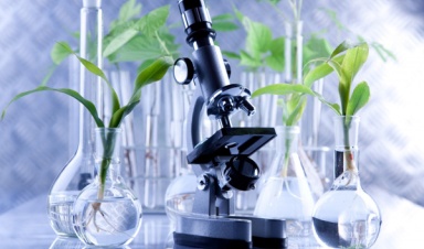 Первый в мире биопроцессор использует 16 органо...