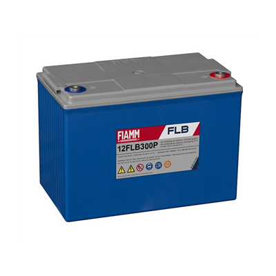 12 FLB 300 P