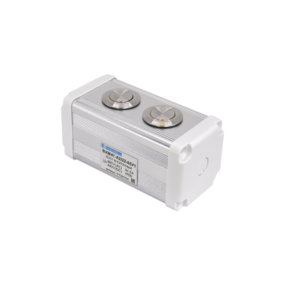 BXM47-A2/22-65У1 (2 серебристые цилиндрические кнопки (1C1NO1NC)) (ЭТ)