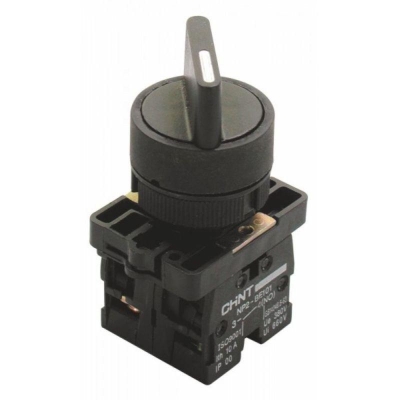 Переключатель NP2-ED25 2 положения фиксацией 1НО+1НЗ IP40 574100